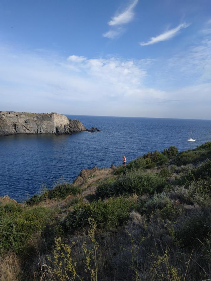 דירות פור-ונדרה Port Heaven, A Deux Pas Du Port, Grand Balcon מראה חיצוני תמונה